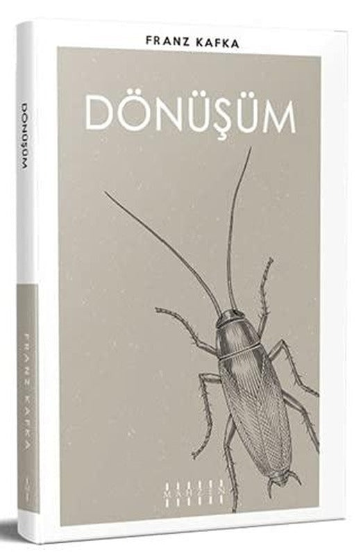 Dönüşüm