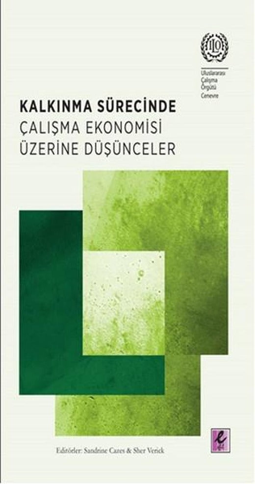Kalkınma Sürecinde Çalışma Ekonomisi Üzerine Düşünceler | Efil Yayınevi Yayınları (İnce Kapak)