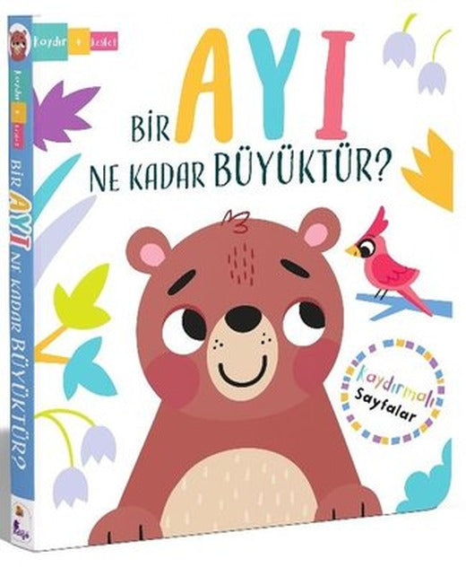 Bir Ayı Ne Kadar Büyüktür? Kaydır Keşfet | İndigo Çocuk