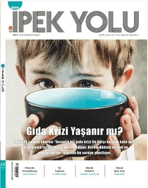 Modern İpek Yolu Dergisi Sayı: 12 Temmuz 2020 | Modern İpek Yolu Dergisi (Ciltsiz)