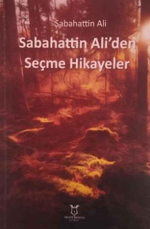 Sabahattin Ali'den Seçme Hikayeler