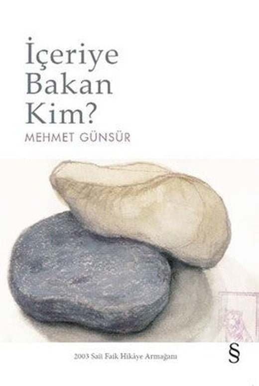 İçeriye Bakan Kim? | Everest Yayınları