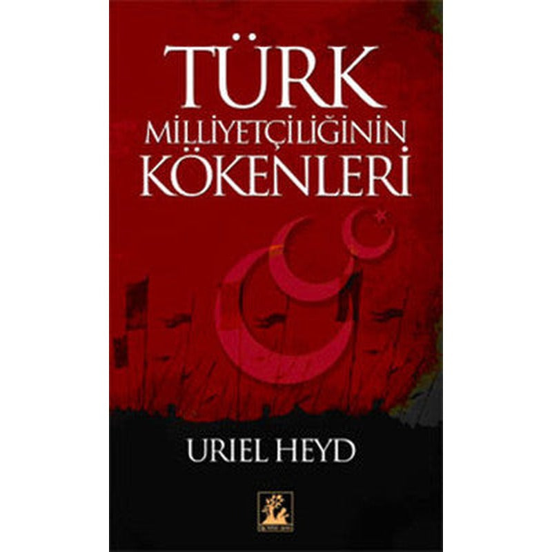 Türk Milliyetçiliğinin Kökenleri | İlgi Kültür Yayınları