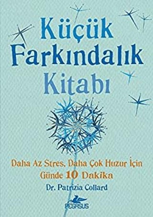 Küçük Farkındalık Kitabı