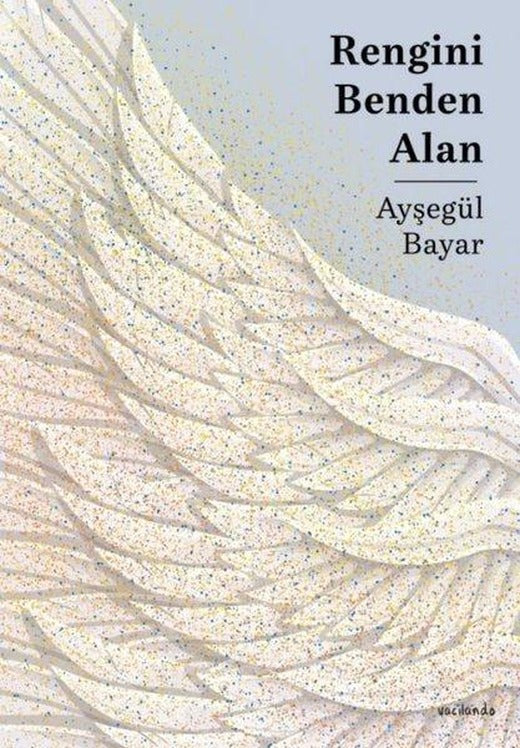 Rengini Benden Alan | Vacilando Kitap (İnce Kapak)