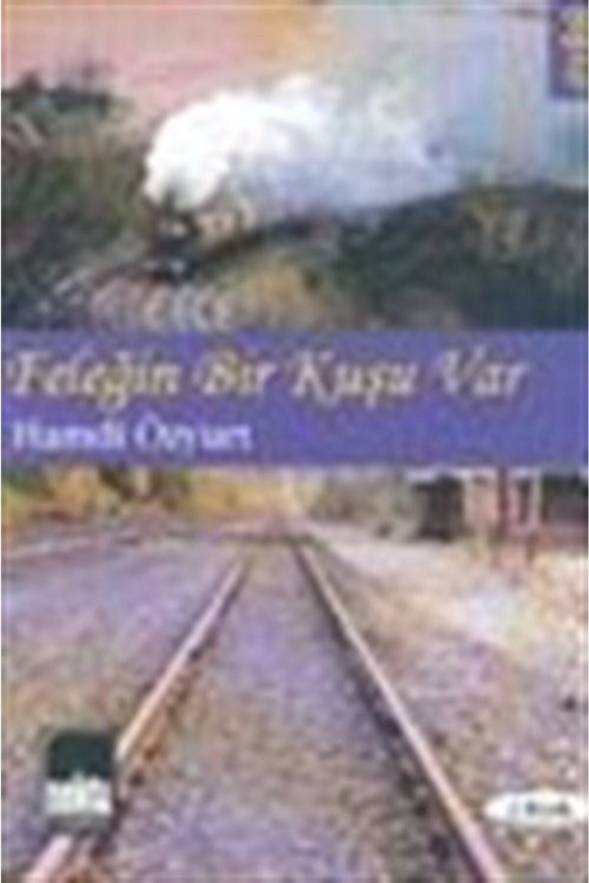 Feleğin Bir Kuşu Var - Hamdi Özyurt kitap kapağı