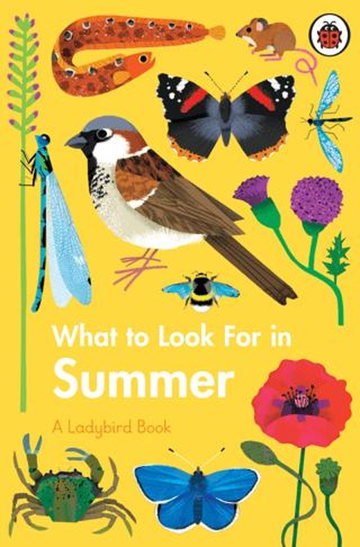 What to Look For in Summer | Ladybird Book (Ciltli)