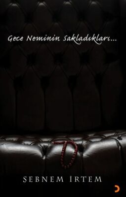 Cinius Yayınevi Gece Neminin Sakladıkları... - Şebnem İrtem kitap kapağı