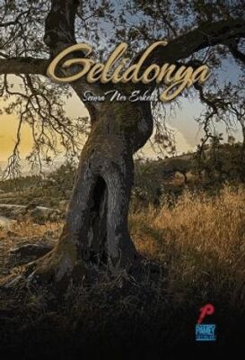 Gelidonya - Semra Ner Erken kitap kapağı