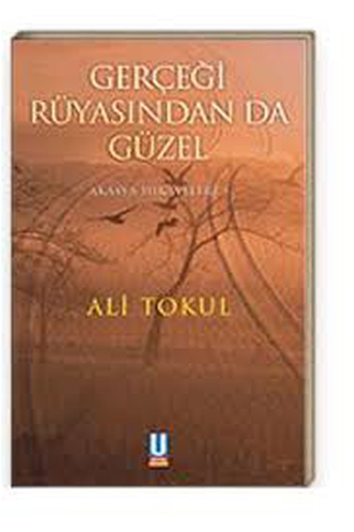Gerçeği Rüyasından Da Güzel - Ali Tokul (2004 Basım) - Ali Tokul kitap kapağı