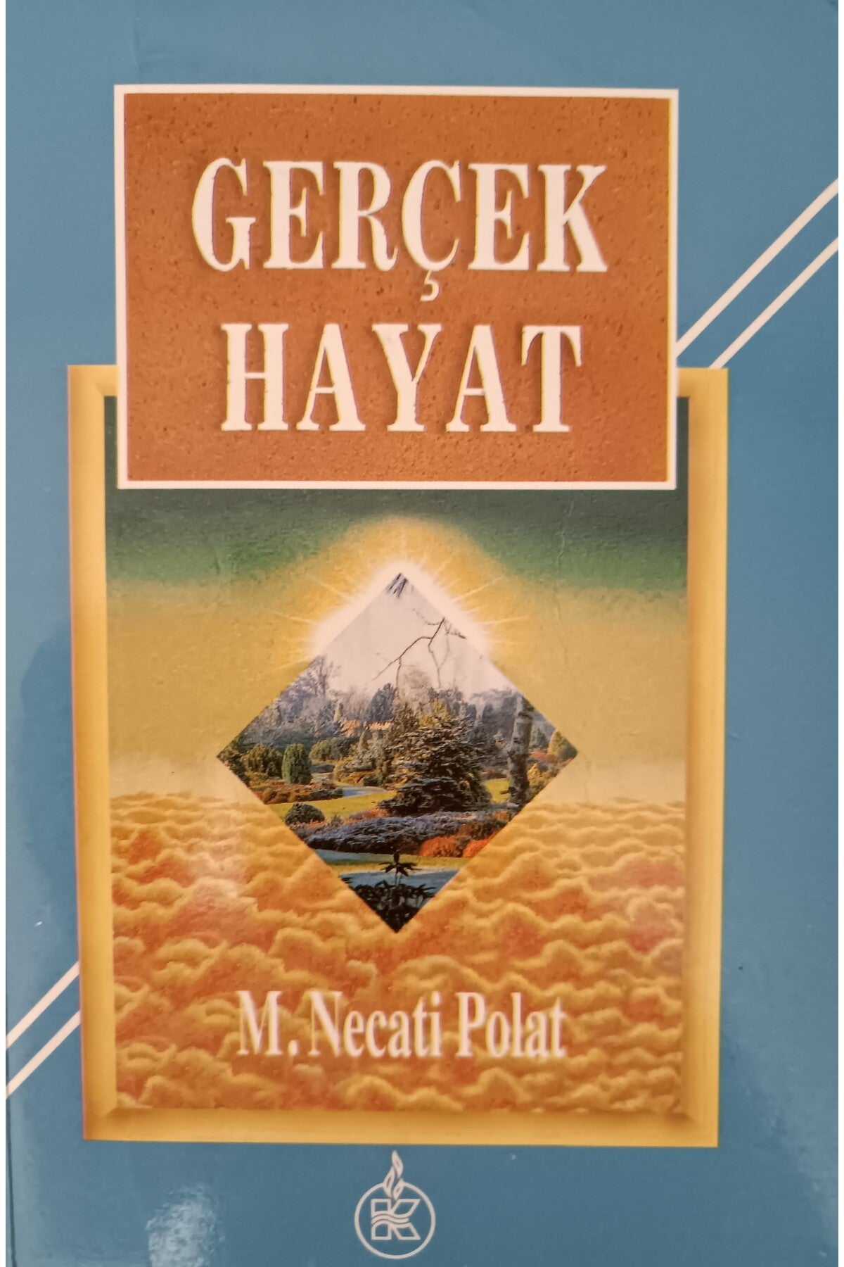Gerçek Hayat - M. Necati Polat kitap kapağı