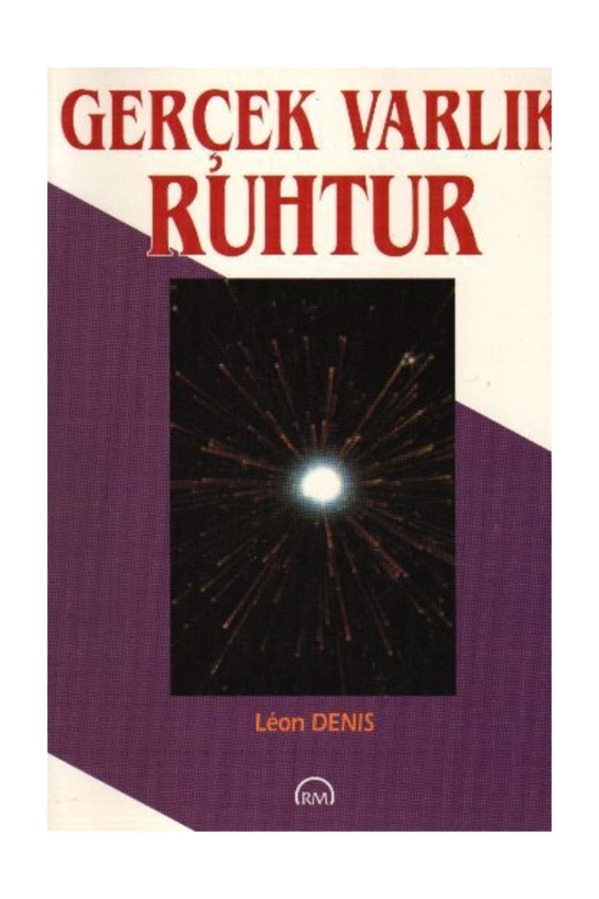Gerçek Varlık Ruhtur - Leon Denis kitap kapağı