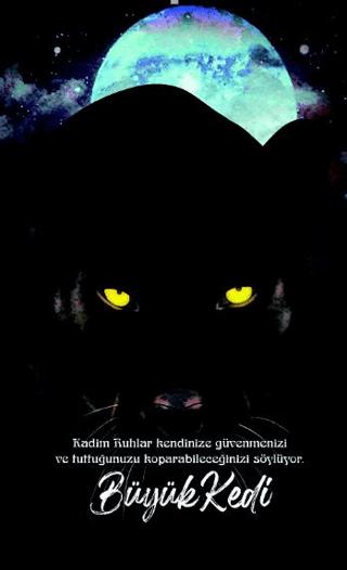 Şaman Defterleri - Büyük Kedi | Gece Kitaplığı (Ciltsiz) - Resim 1