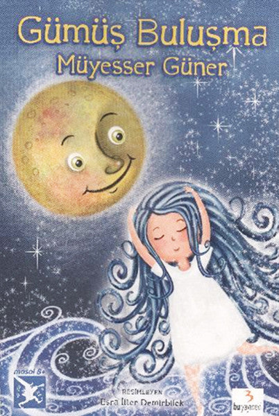 Bu Yayınevi Gümüş Buluşma - Müyesser Güner kitap kapağı