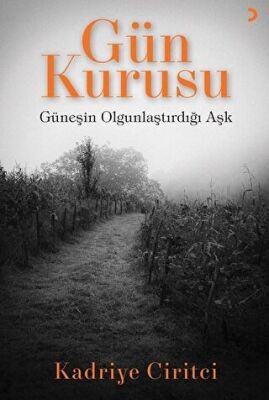 Gün Kurusu - Kadriye Ciritci kitap kapağı