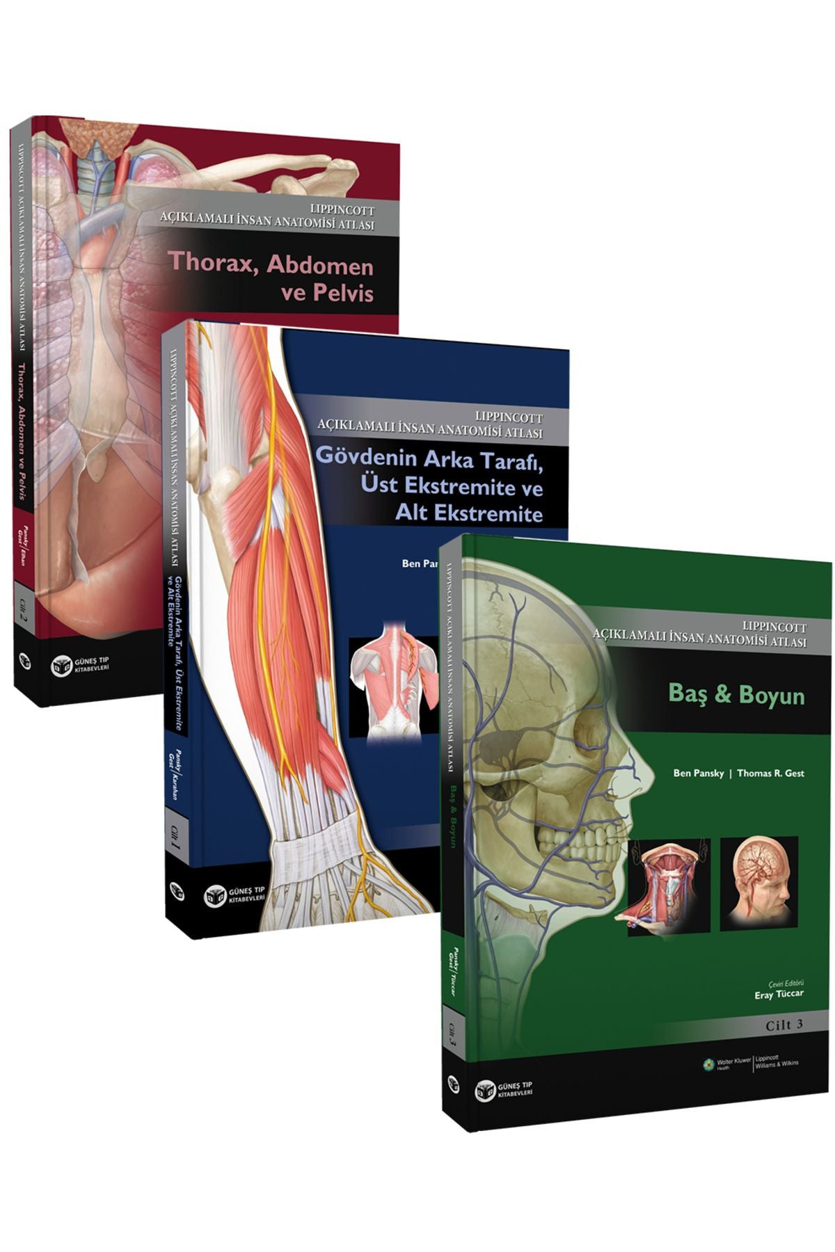 Güneş Yayın Dağıtım Açıklamalı İnsan Anatomisi Atlası 1-2-3 kitap kapağı