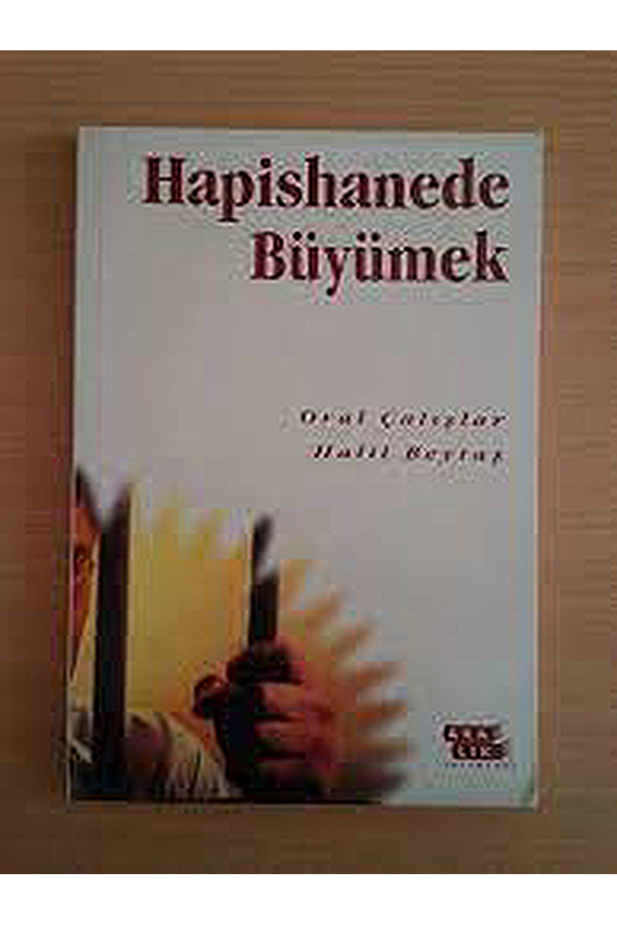 Hapishanede Büyümek-Oral Çalışlar - Oral Çalışlar - Halil Beytaş kitap kapağı
