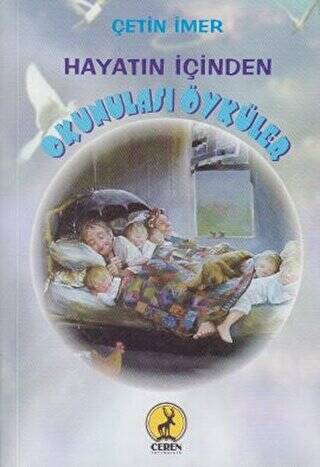 Hayatın İçinden Okunulası Öyküler - Çetin İmer kitap kapağı