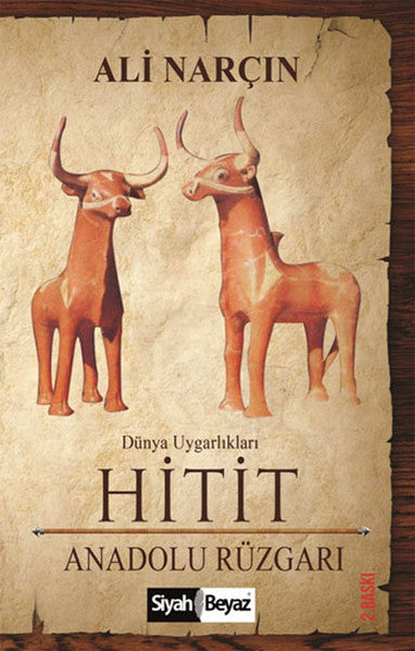 Hitit - Ali Narçın kitap kapağı
