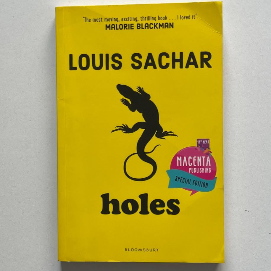 Louis Sachar - Holes - Louis Sachar kitap kapağı