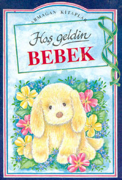 Hoş Geldin Bebek - Pam Brown kitap kapağı