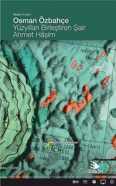 Yüzyılları Birleştiren Şair: Ahmet Haşim | Ebabil (İnce Kapak) - Resim 1