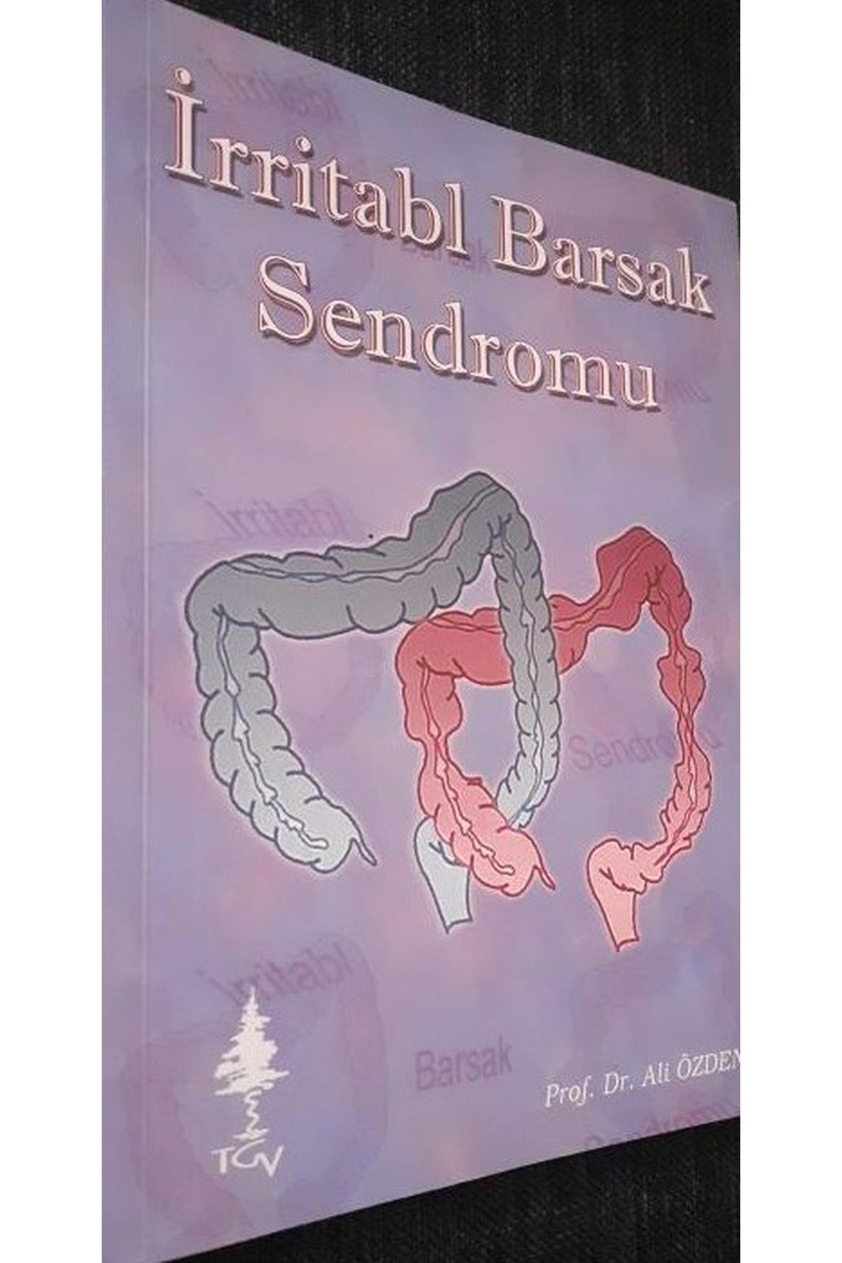 İrritabl Barsak Sendromu - Prof. Dr. Ali Özden (2006 Basım) kitap kapağı