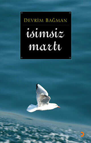 İsimsiz Martı - Devrim Bağman kitap kapağı