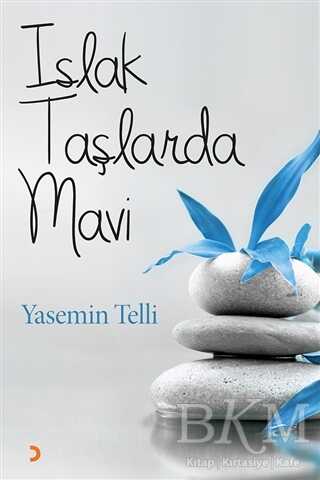 Islak Taşlarda Mavi - Yasemin Telli kitap kapağı