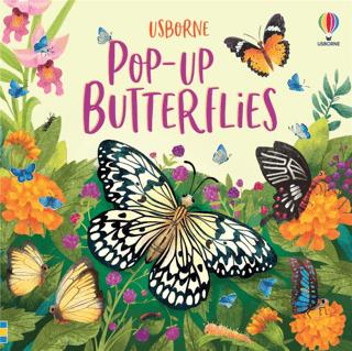 Pop-Up: Butterflies | Usborne (Ciltli) - Resim 1