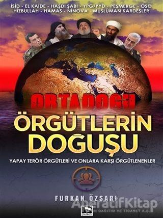 Örgütlerin Doğuşu - Furkan Özsarı - Çınaraltı Yayınları - Resim 1