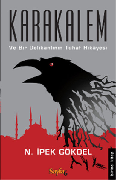 Karakalem - N. İpek Gökdel kitap kapağı