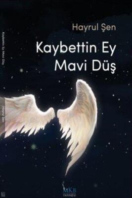 Kaybettin Ey Mavi Düş - Hayrul Şen kitap kapağı