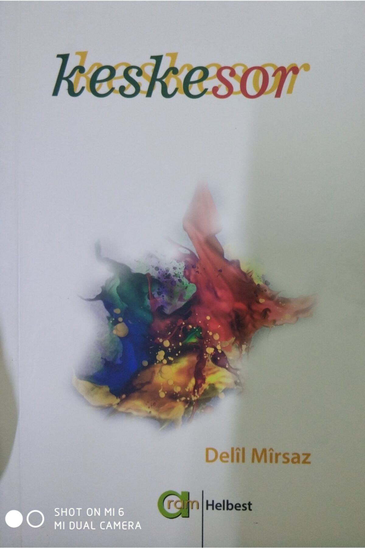 Keskesor - Delil Mirsaz (2015 Basım) kitap kapağı