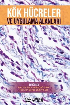 Kök Hücreler ve Uygulama Alanları - Ebru Karadağ Sarı kitap kapağı