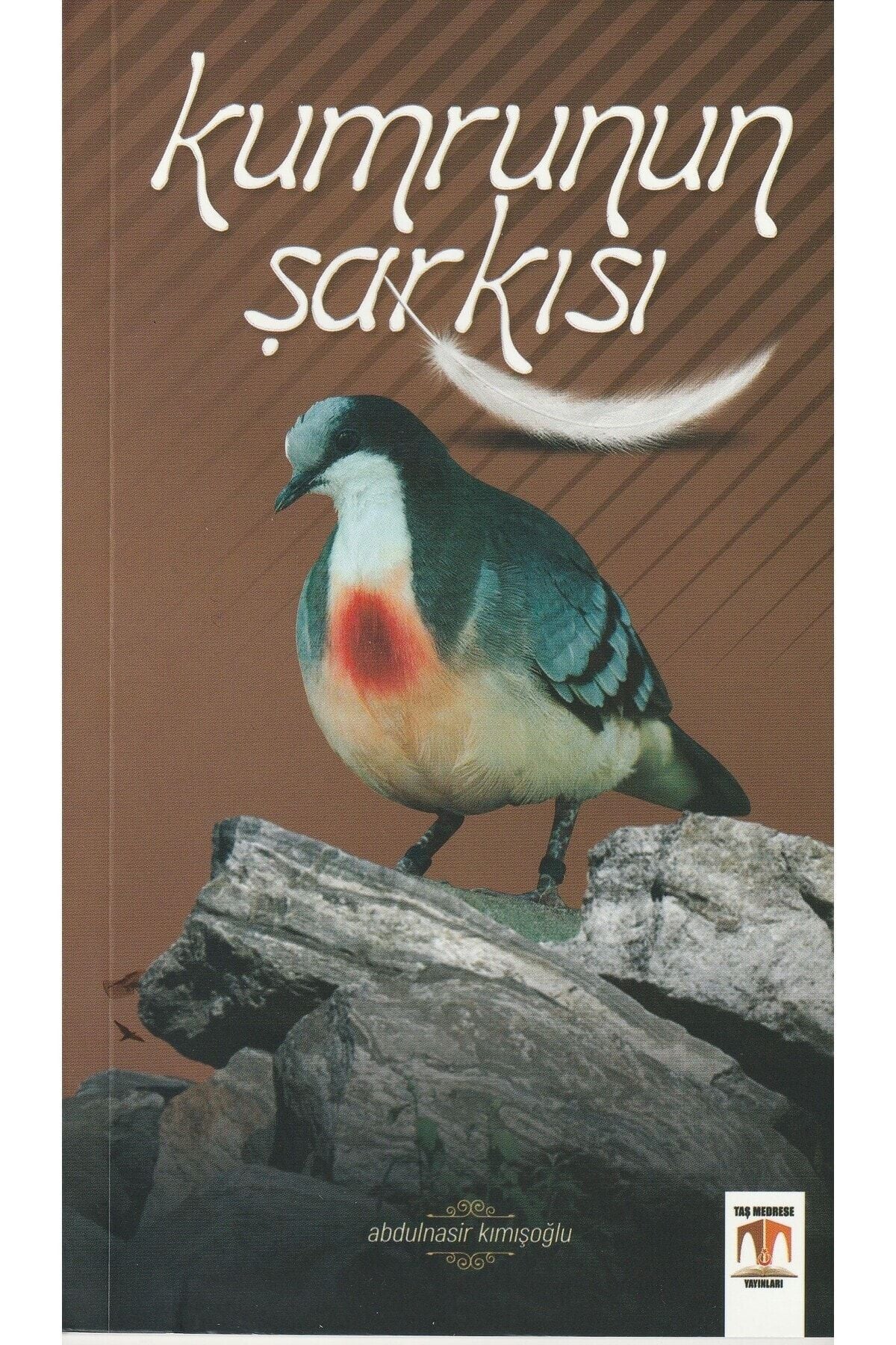 Kumrunun Şarkısı kitap kapağı
