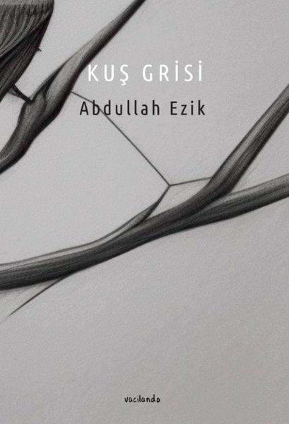 Kuş Grisi | Vacilando Kitap