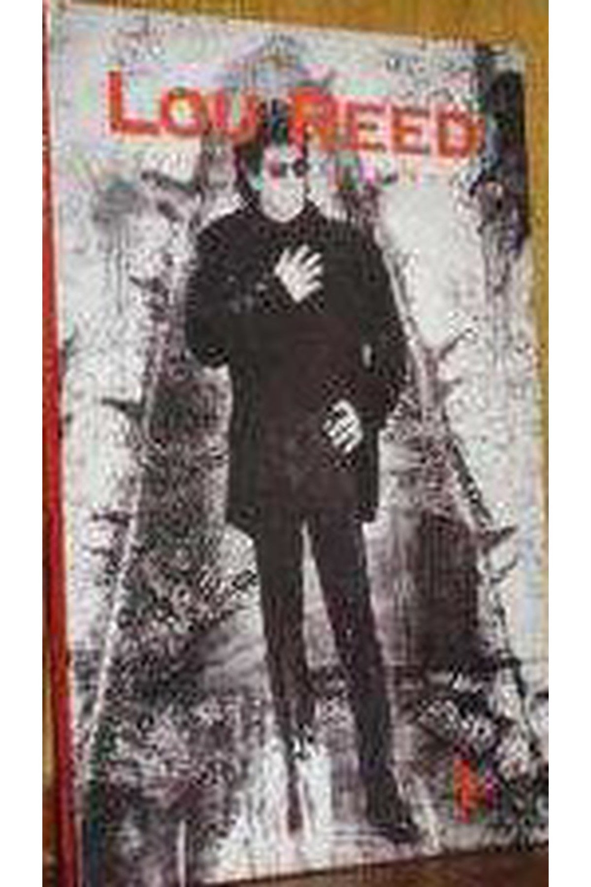 Lou Reed - Murat Beşer (1995 Basım) kitap kapağı
