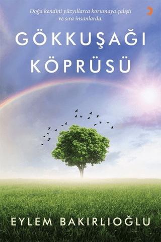 Gökkuşağı Köprüsü