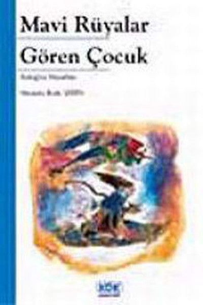 Mavi Rüyalar Gören Çocuk - Mustafa Ruhi Şirin kitap kapağı
