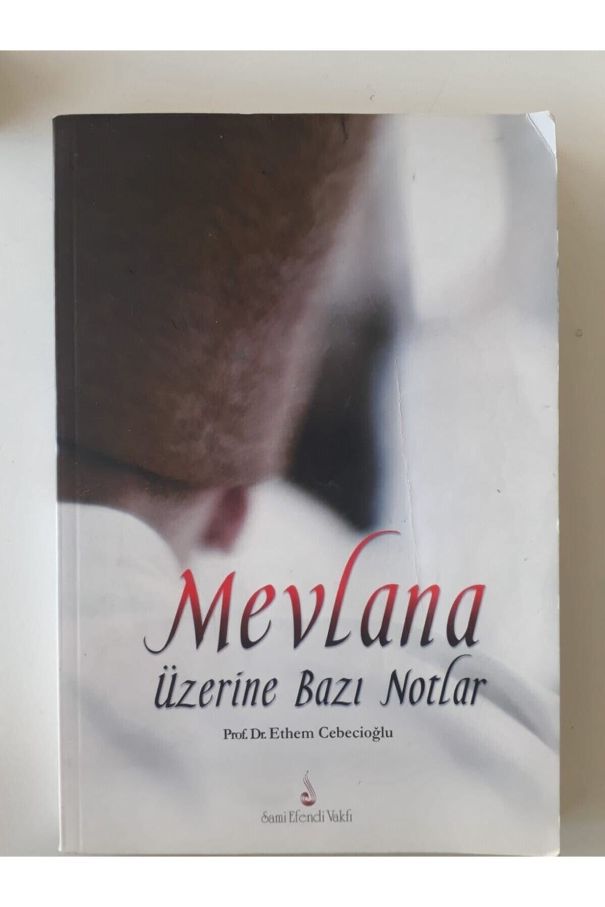 Mevlana Üzerine Bazı Notlar - Prof. Dr. Ethem Cebecioğlu kitap kapağı