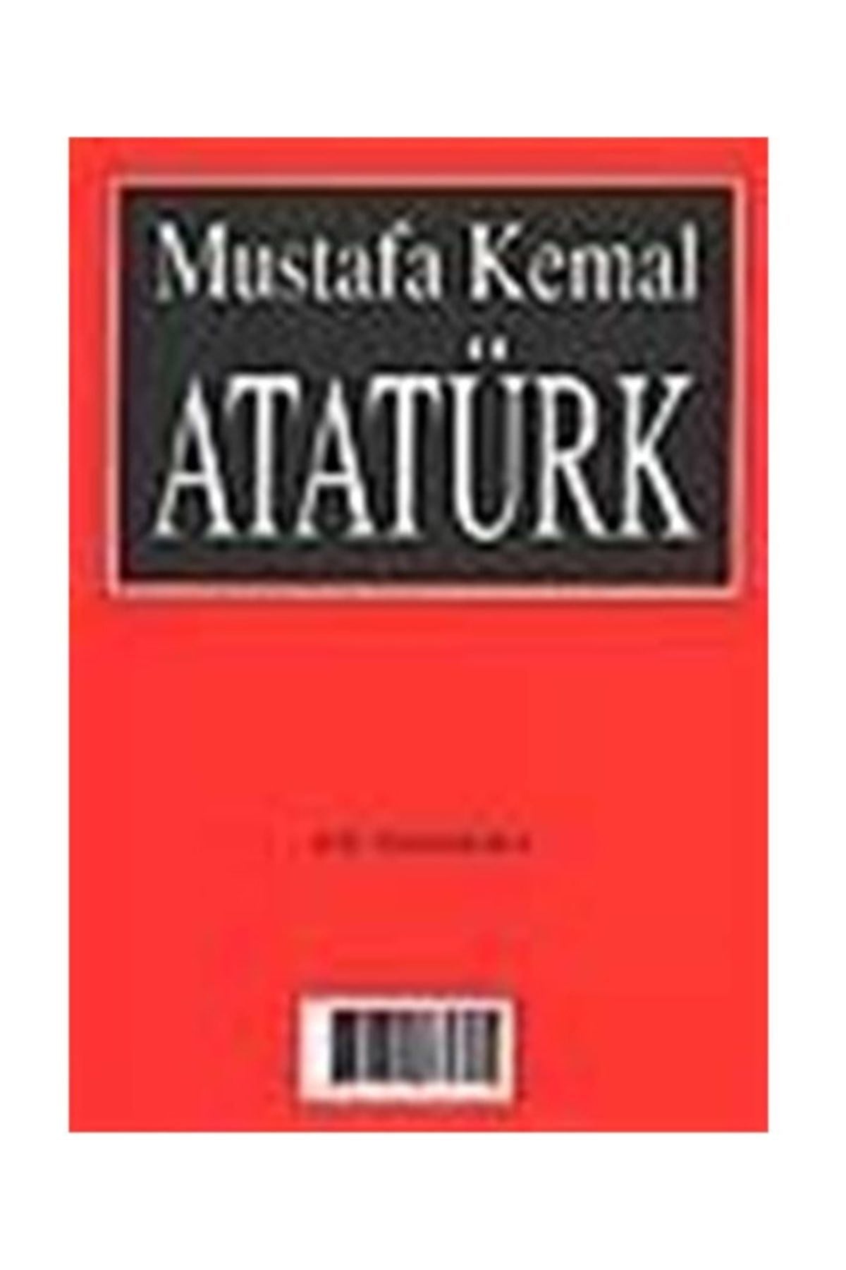 Mustafa Kemal Atatürk - Y.N. Rozaliev / Türkçe-Rusça kitap kapağı