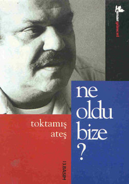 Ne Oldu Bize? - Toktamış Ateş kitap kapağı