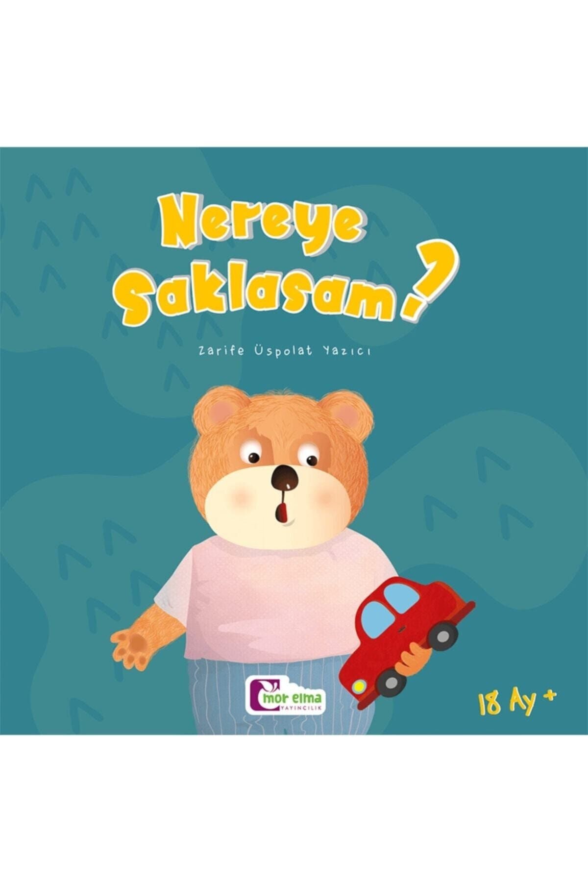 Nereye Saklasam - Acaba Masal Serisi - Kalın Kitap kitap kapağı