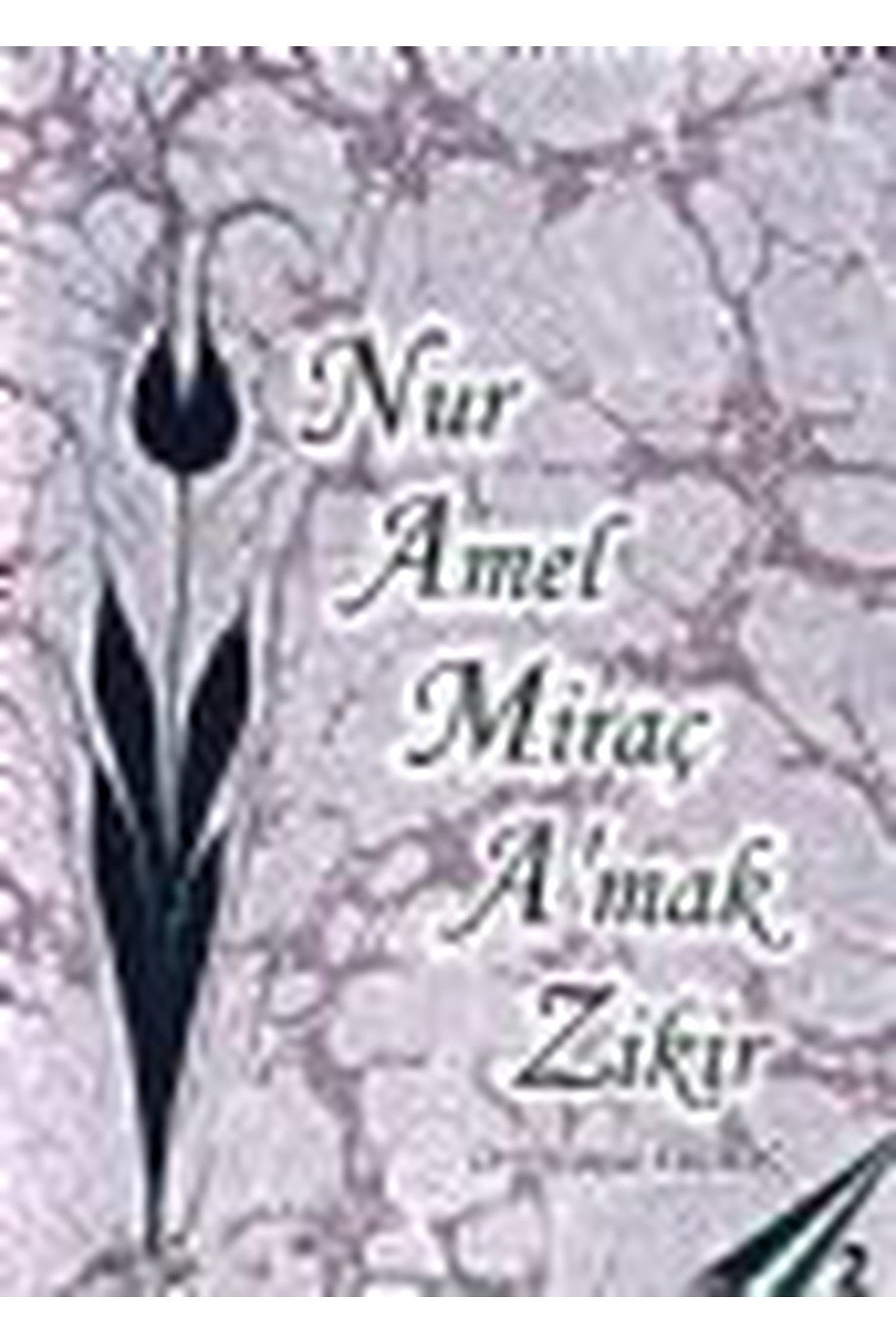 Nur Amel Miraç A'Mak Zikir / Ayşegül Erdoğ (2005 Basım) kitap kapağı