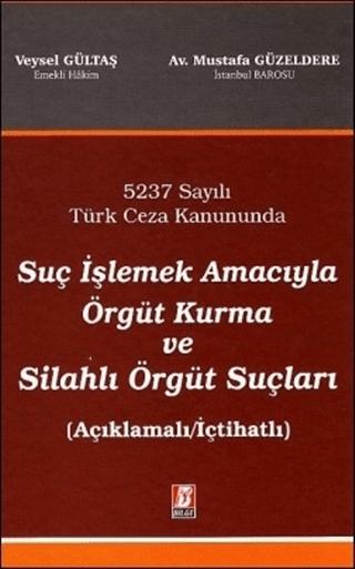 Suç İşlemek Amacıyla Örgüt Kurma ve Silahlı Örgüt Suçları