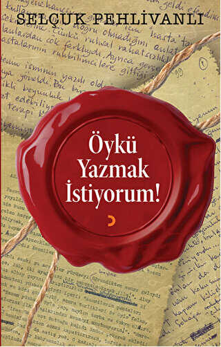 Öykü Yazmak İstiyorum! - Selçuk Pehlivanlı kitap kapağı