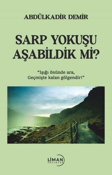 Sarp Yokuşu Aşabildik mi? | Liman Yayınevi (İnce Kapak) - Resim 1