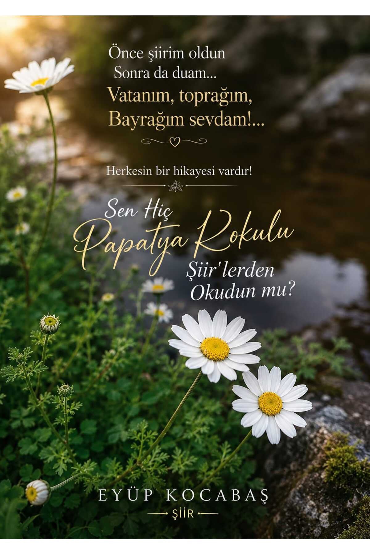 Papatya Kokulu Şiirler kitap kapağı