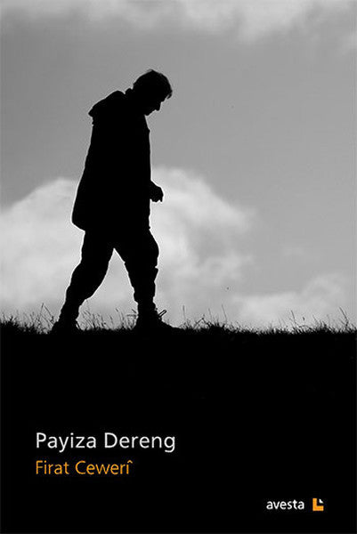 Payiza Dereng - Firat Ceweri kitap kapağı